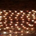String Lights Installed on Wall Rental Toronto