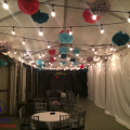 Vintage String Lights - Image 13