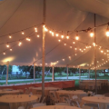 Vintage String Lights - Image 16