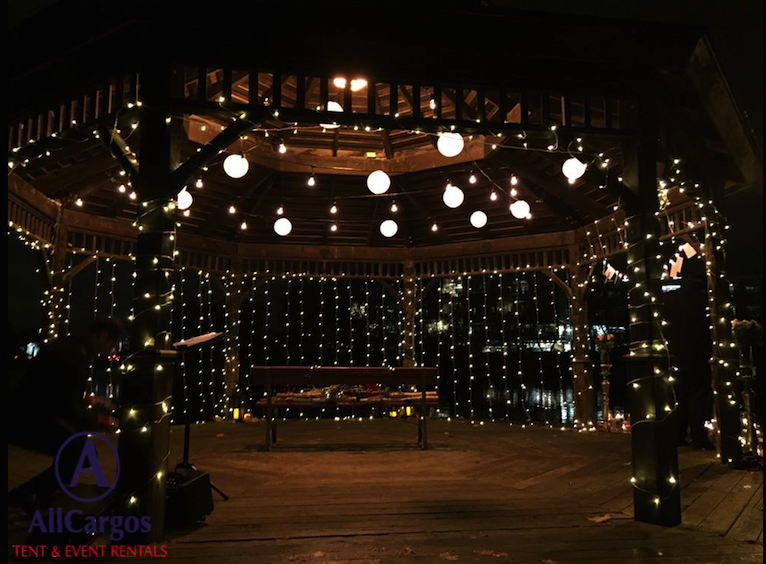 winter-twinkle-lights-rental-for-wedding-proposal