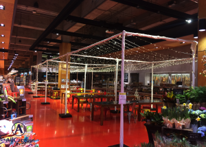 Twinkle Light Canopy Installed for Loblaws Foody Call Event