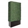 Artificial Boxwood Hedge Wall Rental Toronto, Mississauga, Markham and GTA
