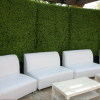 Artificial Boxwood Hedges Rental Toronto & GTA
