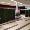 Boxwood Hedge Walls Rental