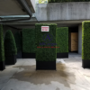 Boxwood Hedges Rental Roy Thompson Hotel Toronto
