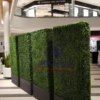 Boxwood Hedges Rental Toronto