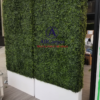 Boxwood Hedges Rental with White Planter