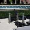Outdoor Boxwood Hedges Rental Roy Thompson Hotel Toronto