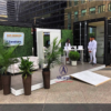 Toronto Boxwood Hedges Rental with White Planter