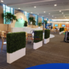 Hedges with White Planter Rental Toronto GTA