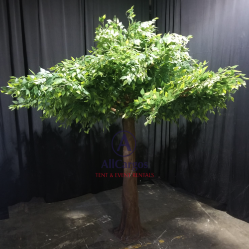 Fake Ficus Green Tree Rental Toronto & GTA