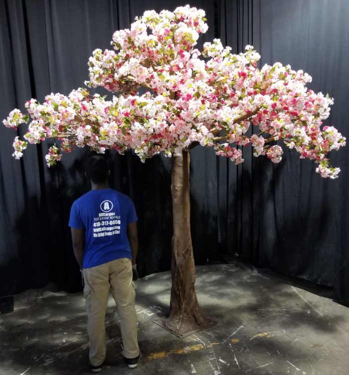 Fake Pink Cherry Blossom Tree Rental Toronto