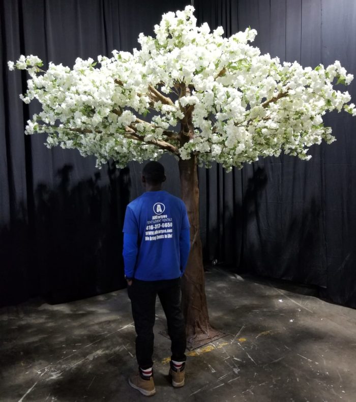 Fake White Cherry Blossom Tree Rental Toronto